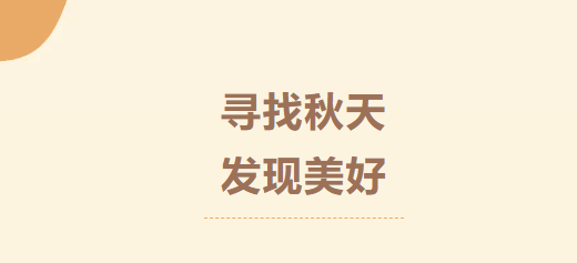 cf3d21b27d8047bc9b1e2247d5a91ad0.png